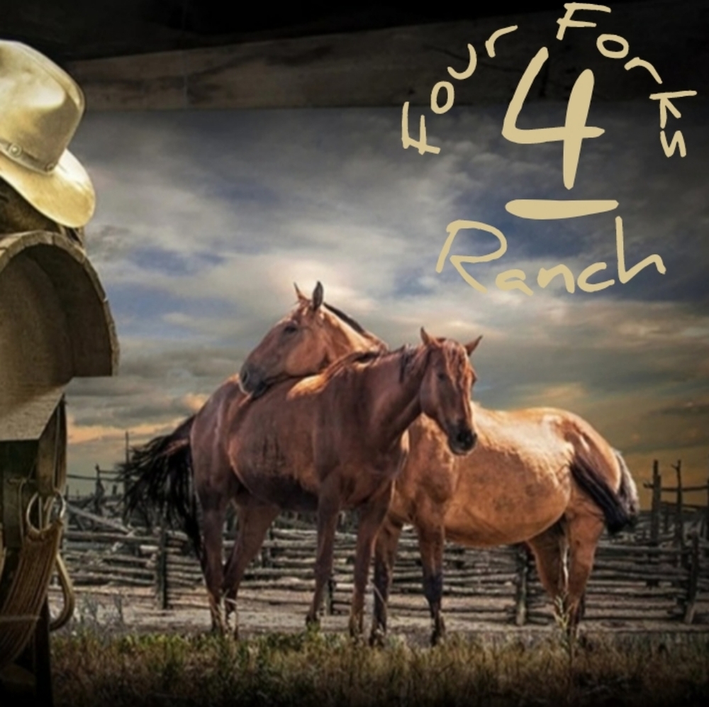 Meet your Posher, Harley